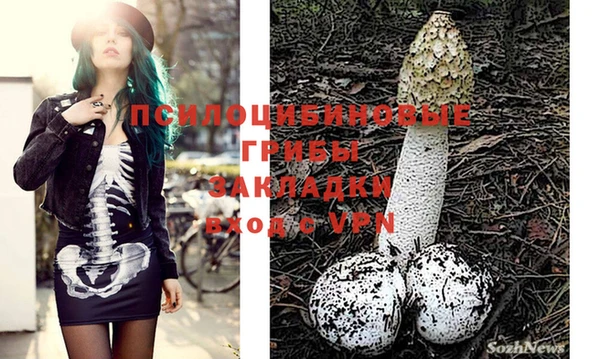 молекула духа Киренск