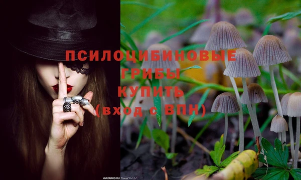 молекула духа Киренск