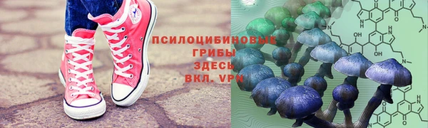 кристаллы Карпинск