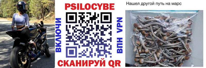 Купить закладки  Венёв  Псилоцибиновые грибы мицелий 